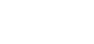 Custom Security Logo